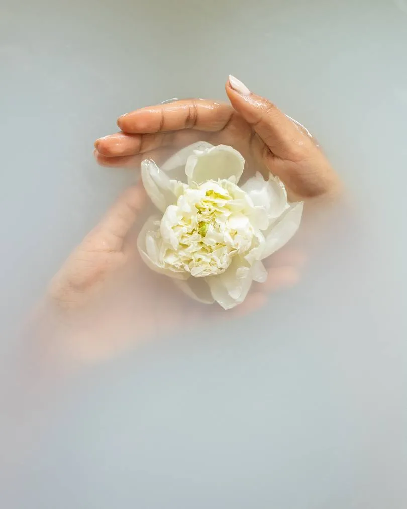 Diseño sin título (34)