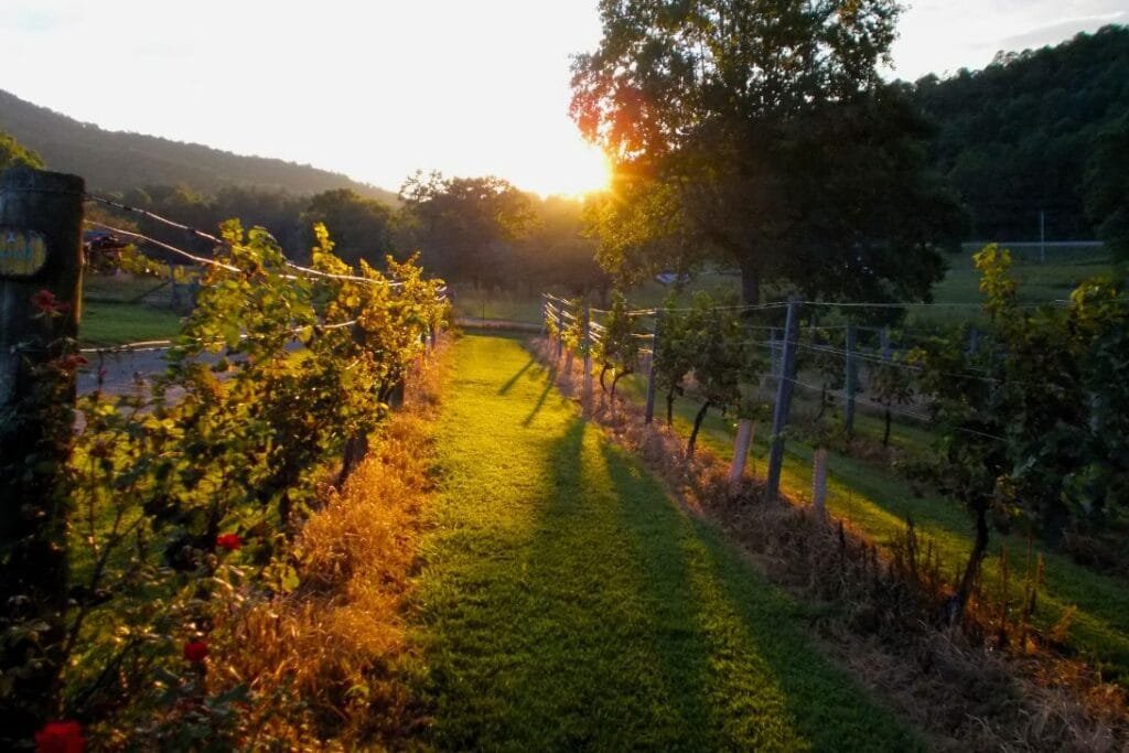 camino vip ourense camino de invierno valdeorras